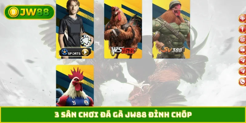 3 sân chơi đá gà JW88 đỉnh chóp