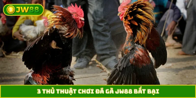 3 thủ thuật chơi đá gà JW88 bất bại