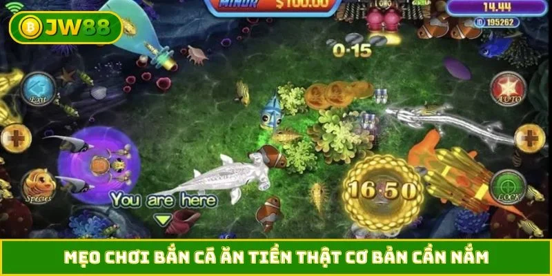 Mẹo chơi bắn cá ăn tiền thật cơ bản cần nắm